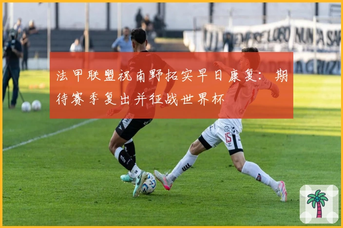 法甲联盟祝南野拓实早日康复：期待赛季复出并征战世界杯